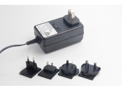 ADAPTER 24W YJS024W 可换式图2